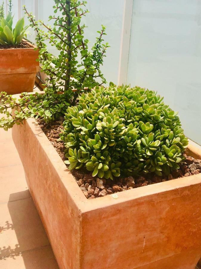 Apartament Penthouse La Paz 9 - Castle View Moraira Zewnętrze zdjęcie